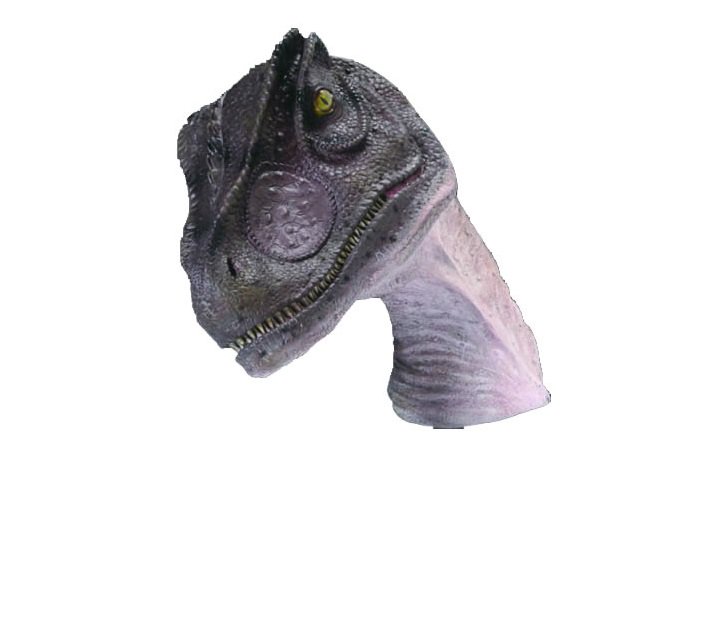 FRP アロサウルスの頭部 Allosaurus Head fr100014 『恐竜オブジェ
