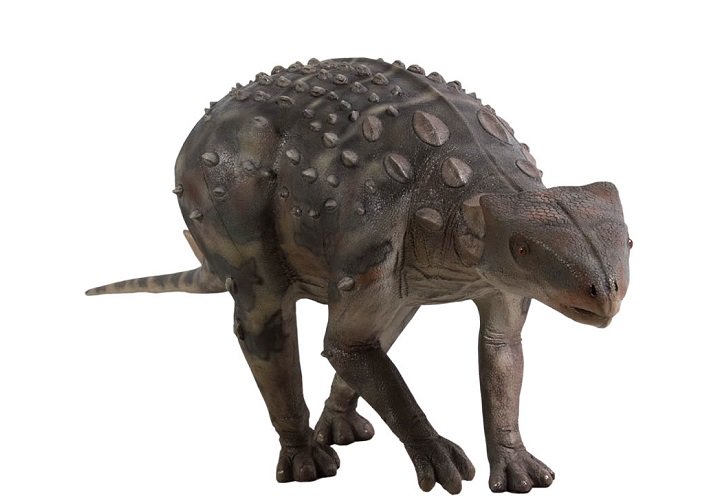 恐竜☆アンキロサウルス ビッグサイズオブジェ【225cm】 等身大・フィギュア・ディスプレイ・ディスプレー