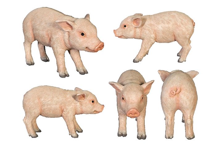 PIG  ڡ֥Υӥå֥ʻҤ֤B
