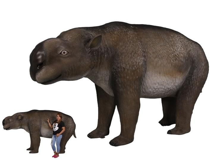 ưʪ֥ǥץȥɥ300cm(硦ե奢ʪǥץ쥤)