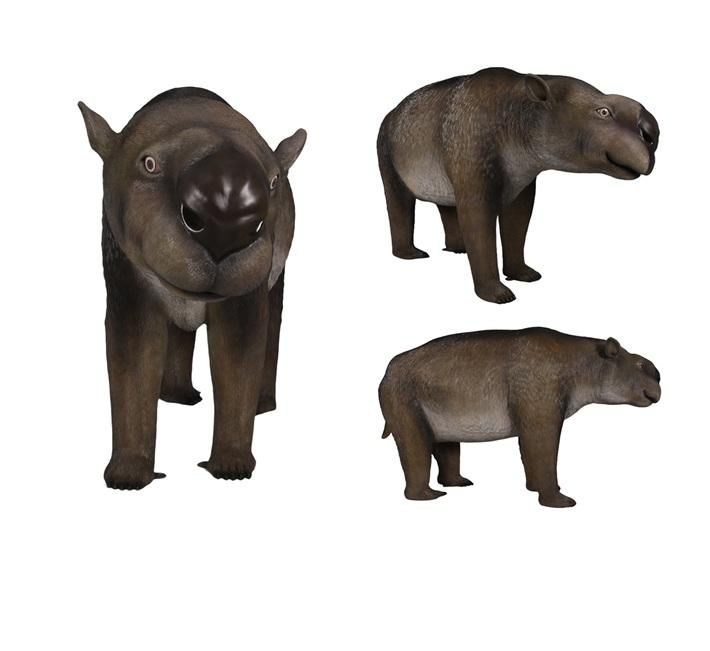 ưʪ֥ǥץȥɥ300cm(硦ե奢ʪǥץ쥤)