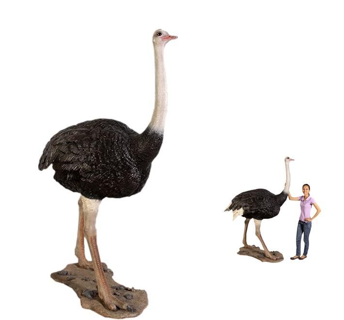 ưʪ֥祦213cmۡ硦ʪǥץ쥤ǥץ졼֥ե奢
