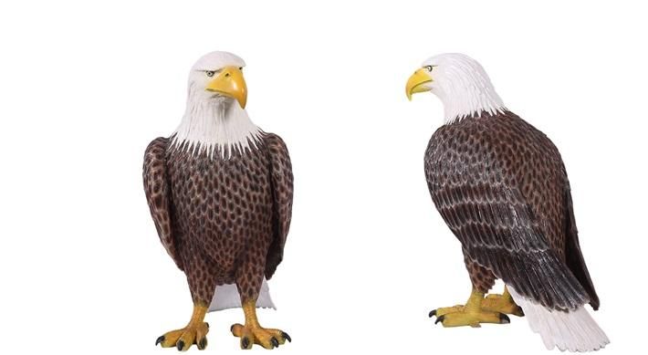 動物オブジェ☆鷲☆鳥☆大きなハクトウワシ・アメリカンイーグル