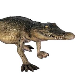 鰐・ワニ・わに☆クロコダイル ビッグオブジェ【128cm】☆ 等身大フィギュア・動物オブジェ・店舗ディスプレイ・大型オブジェ販売のコズミックランド