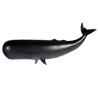 クジラ」 【フレームサイズ 52.5×41cm】