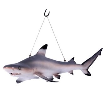 サメ・鮫☆ツマグロのビッグオブジェ【115cm】☆等身大フィギュア 