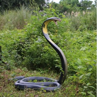 爬虫類 へび ヘビ 蛇 コブラのビッグオブジェ 110cm 等身大フィギュア 動物オブジェ 店舗ディスプレイ 看板 インテリア販売のコズミックランド