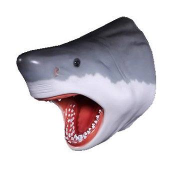 シャーク・サメ・鮫☆ジョーズの頭 壁掛けオブジェ☆等身大フィギュア・店舗ディスプレイ・大型オブジェ販売のコズミックランド