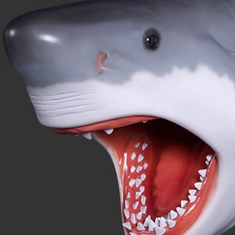 シャーク・サメ・鮫☆ジョーズの頭 壁掛けオブジェ☆等身大フィギュア・店舗ディスプレイ・大型オブジェ販売のコズミックランド