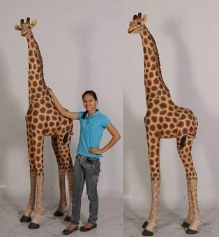 大型動物オブジェ きりん キリンのビッグオブジェ 237cm 等身大動物フィギュア 大型オブジェ 店舗ディスプレイ販売のコズミックランド