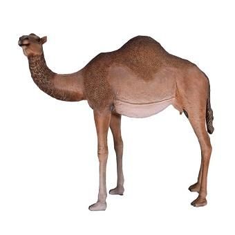 巨大オブジェ らくだ 雄のひとコブラクダ 250cm 等身大フィギュア キャラクターフィギュア 店舗ディスプレイ 大型オブジェ販売のコズミックランド 巨大オブジェ らくだ 雄のひとコブラクダ 250cm 等身大フィギュア キャラクターフィギュア 店舗ディスプレイ 大型オブジェ販売のコズミックランド