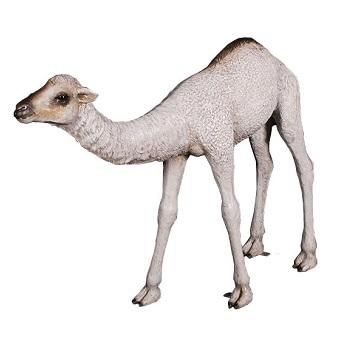 動物オブジェ らくだ ひとコブラクダの赤ん坊 152cm 等身大フィギュア キャラクター フィギュア 店舗ディスプレイ 大型オブジェ販売のコズミックランド 動物オブジェ らくだ ひとコブラクダの赤ん坊 152cm 等身大フィギュア キャラクター フィギュア 店舗ディスプレイ 大型オブジェ販売のコズミックランド