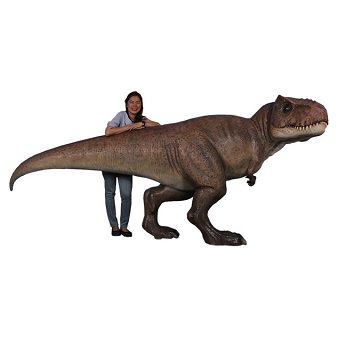 恐竜 ティラノサウルス T-REX 壁掛けオブジェ【257cm】 Tレックス