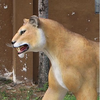 【動物大型オブジェ】巨大オブジェ☆歩く雄ライオン☆等身大フィギュア・キャラクターフィギュア・店舗ディスプレイ・大型オブジェ販売のコズミックランド