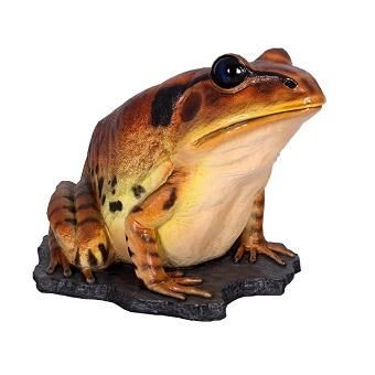 開運】幸運を呼ぶ?! 蛙 かえる☆縞足ガエルのビッグオブジェ