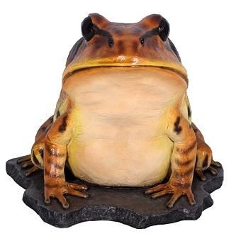 開運】幸運を呼ぶ?! 蛙 かえる☆縞足ガエルのビッグオブジェ