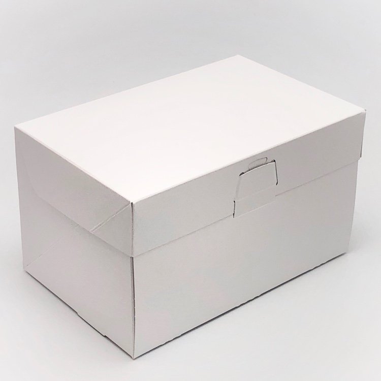 A50140 ロックBOX１０５ ホワイト ５×７（200枚）保冷剤スペース付 