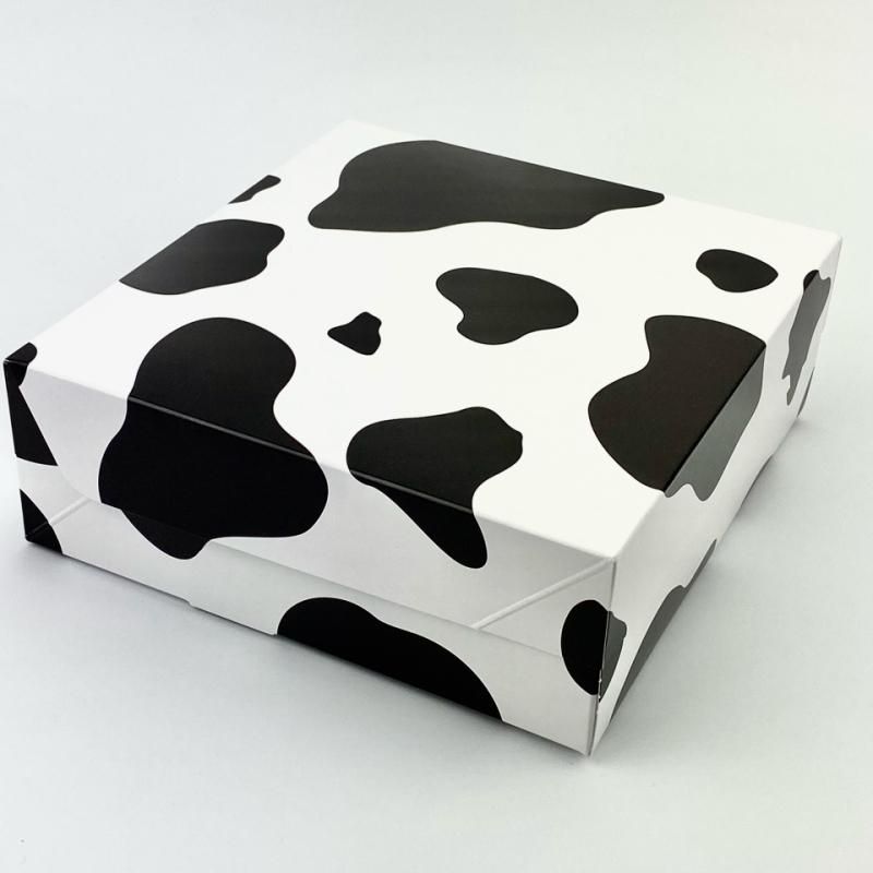 A63230 ロックBOX 80 プレス185（5寸用）（100枚）185×185