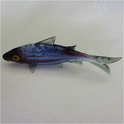 ベネチアングラス 魚