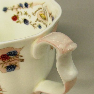 廃盤品☆ロイヤルドルトン/Royal Doulton ブランブリーヘッジ/Brambly