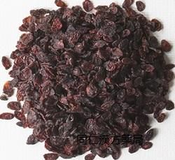 漢方生薬 山茱萸 サンシュユ さんしゅゆ 小分け販売 通販 漢方生薬 山茱萸 サンシュユ さんしゅゆ 小分け販売 通販