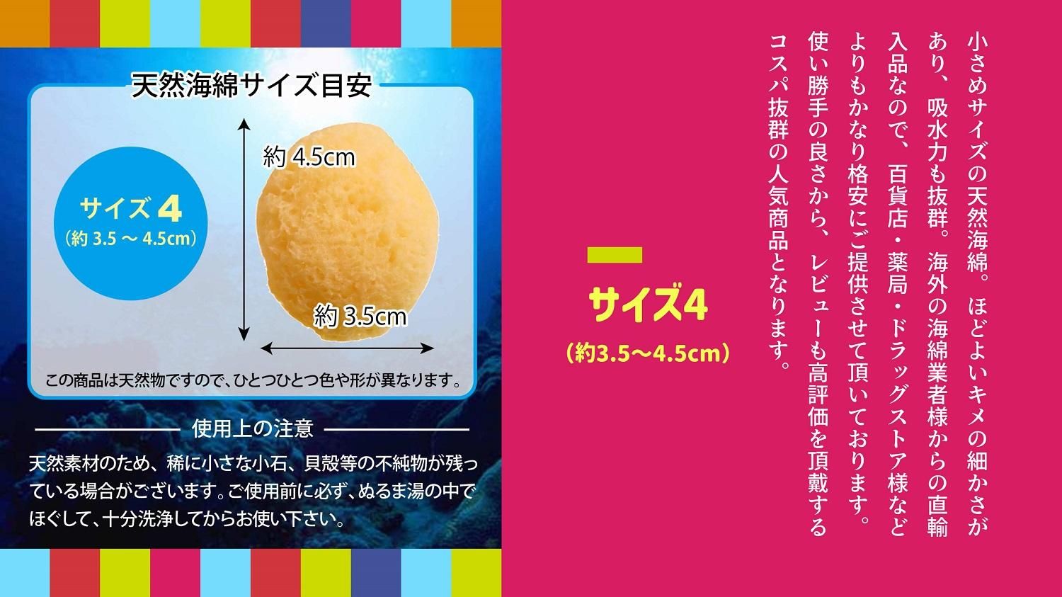 海綿4インチ