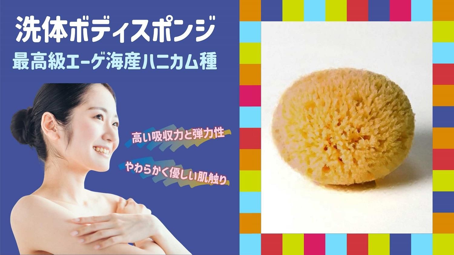 ボディースポンジ