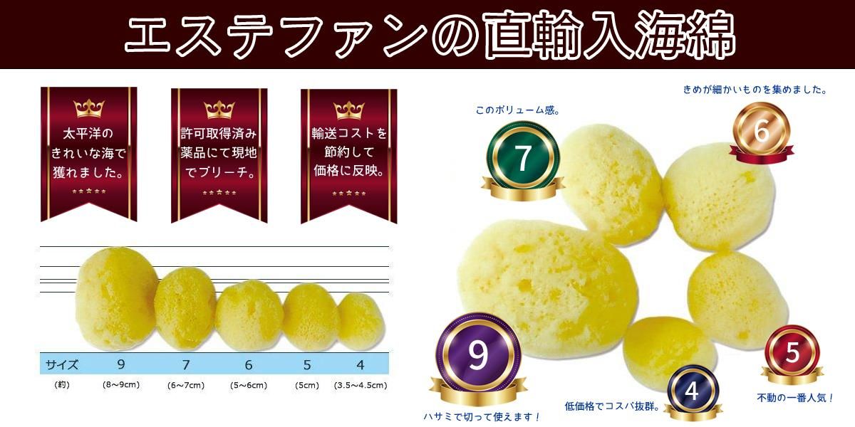 天然海綿サイズ