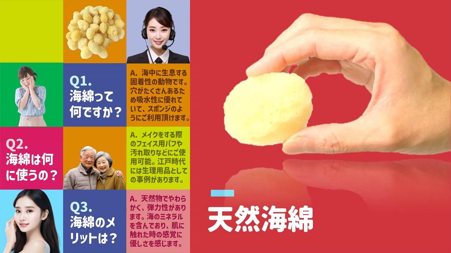 天然海綿まとめ
