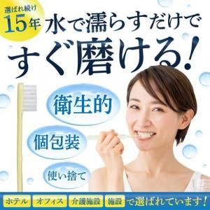 インスタントハブラシ【粉付き】アソート 500本入り