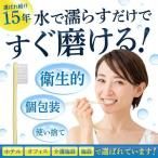 󥹥ȥϥ֥饷ʴդۥ 500
