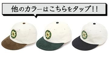 5 PANEL CAP -HELIOTROPISM¾Υ顼Ϥ
