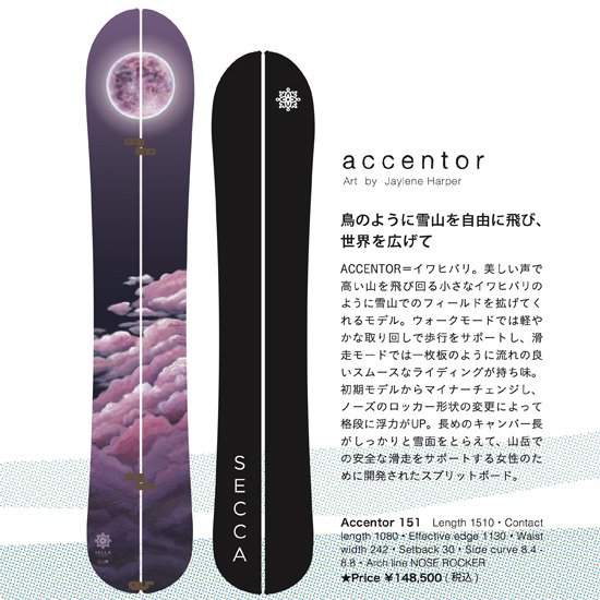 23-24予約商品】SECCA セッカ｜accentor 151 アクセンタ (スプリット