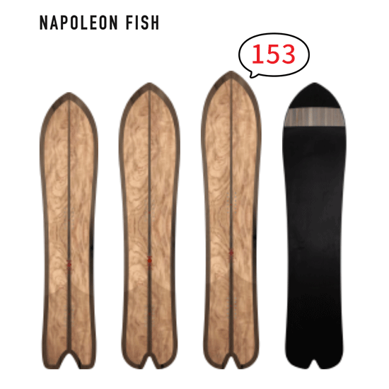 TJ brand ナポレオンフィッシュ 153 napoleon fishナポレオン 