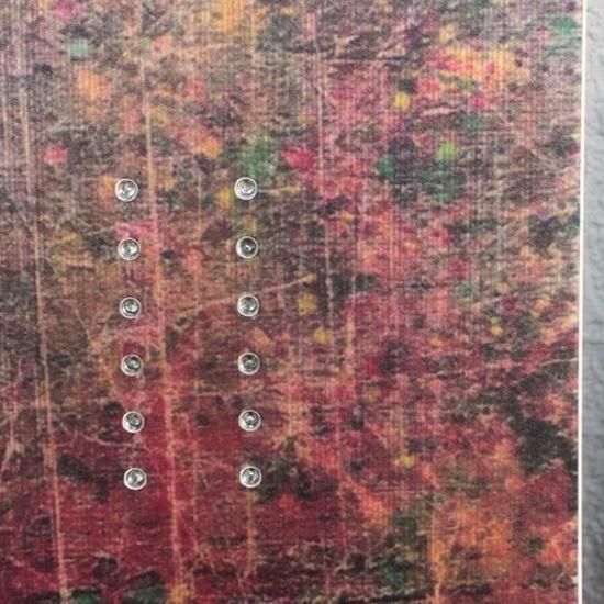 PRANAPUNKS｜WOODY ROCKET 140 (ウッディ ロケット)(マウンテンフリー