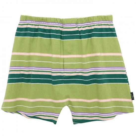 GOHEMP �����إ�ס�MORE COMFORT SHORTS (G)(�ȥ�󥯥� ����������硼��)