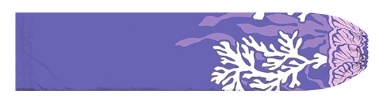 紫のパウスカートケース コーラル・シェル柄 pcase-2839PP 【メール便可】★オーダーメイド