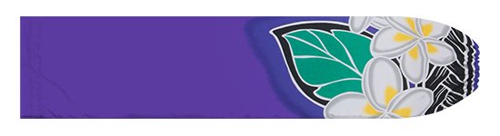 紫のパウスカートケース プルメリア大柄 pcase-2845PP 【メール便可】★オーダーメイド