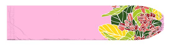 ピンクのパウスカートケース クラウンフラワー柄 pcase-2852Pi 【メール便可】★オーダーメイド
