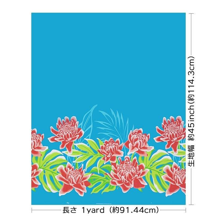 ハワイアンファブリック 水色 トーチジンジャー モンステラ fab-2912AQ