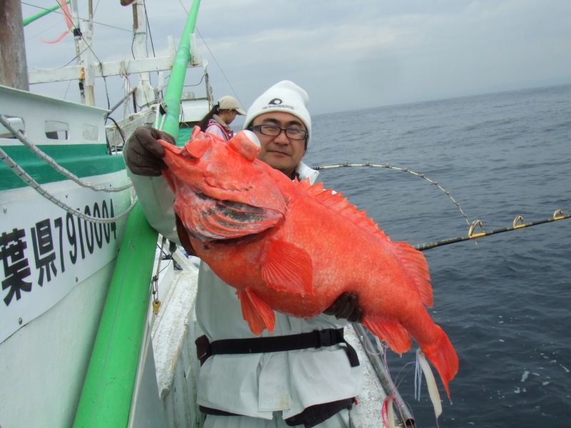 FZオリジナル ベニアコウ仕掛け - Fishing-ZERO