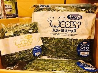 イタリアンライグラス ヤング ウーリー 450g （新品】ウーリー
