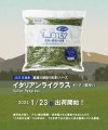 高原の朝採り牧草「ヤング」※茎あり - うさぎ専門店 ＲＡＢＢＩＴ