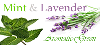 Mint&Lavender ミント&ラベンダー5ml