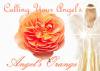 Angel's Orange 󥸥륺5ml