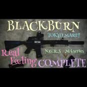 ڥꥸʥ륫˥塼REAL FEELING COMPLETE  M4/HK416꡼б