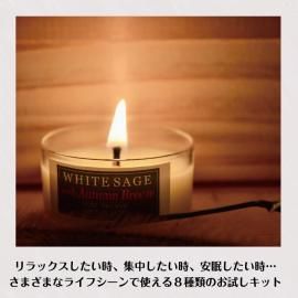 ۥ磻ȥ ɥ<img class='new_mark_img2' src='https://img.shop-pro.jp/img/new/icons5.gif' style='border:none;display:inline;margin:0px;padding:0px;width:auto;' />