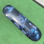 ݥȣԸ桪 DGK STEVIE WILLIAMS CAGED ǥå 8.06