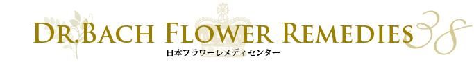 【SOLのお店】 SEEDS OF LIGHT　バッチのフラワーレメディ、エッセンスの情報・資格取得セミナー・通信教育