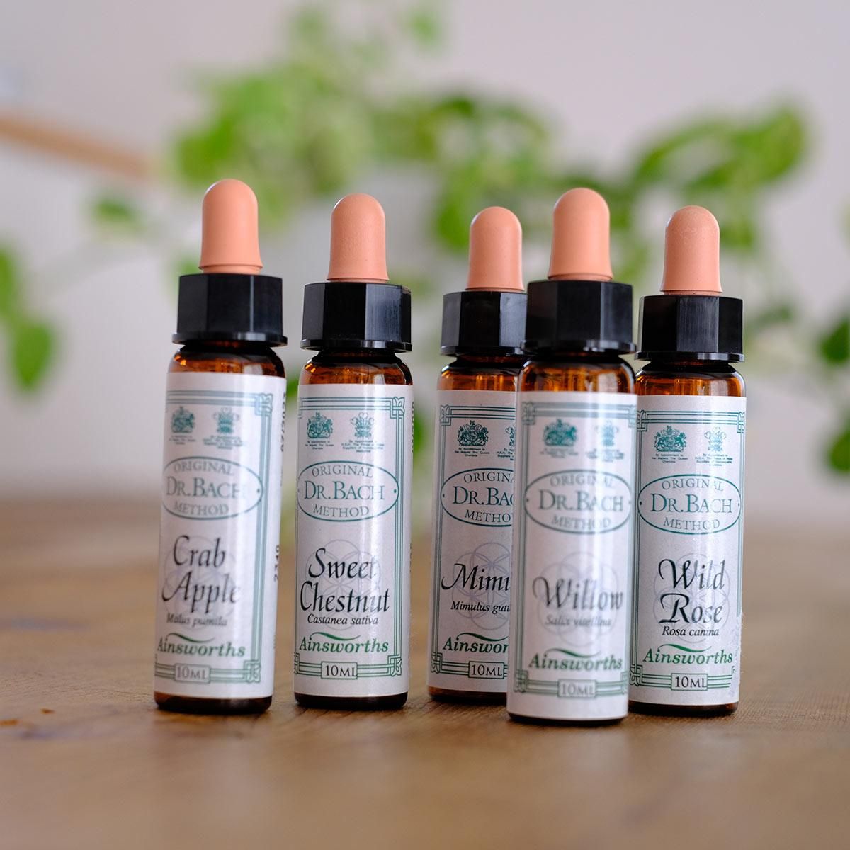 フラワーエッセンス バッチフラワーレメディ フルセット 10ml バッチフラワーレメディ フルセット / 認定講師の方向け |